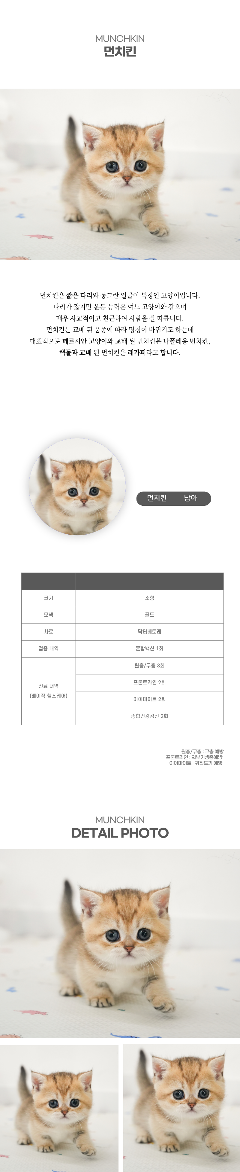 먼치킨_상세이미지_2
